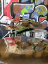 Cymbals on a drumkit with graffiti