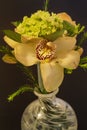 Cymbidium orchid arrangement Royalty Free Stock Photo