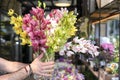 Cymbidium orchid cut flowers in pink, green, yellow, white colors holding florist in the flowers bar. Royalty Free Stock Photo