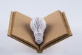 CYMK 3D Printing: lightbulb on blank cork book