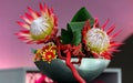 Cynaroides protea flowers Royalty Free Stock Photo