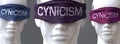 Cynicism can blind our views and limit perspective - pictured as word Cynicism on eyes to symbolize that Cynicism can distort