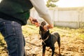 Cynologist works with service dog outside Royalty Free Stock Photo