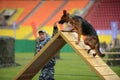 Cynologists with dogs in Moscow