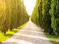 Cypress alley with rural country road, Tuscany, Italy. Royalty Free Stock Photo