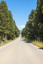 Road of Cypresses, Bolgheri, Tuscany, Italy Royalty Free Stock Photo