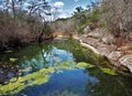 Cypress Creek at Jacob\'s Well Natural Area in Wimberley Texas Royalty Free Stock Photo