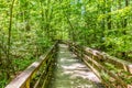 cypress forest and swamp of Congaree National Park in South Carolina Royalty Free Stock Photo