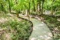 Cypress forest swamp of Congaree National Park in South Caro Royalty Free Stock Photo