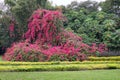 The Cypress Garden in legoland florida Royalty Free Stock Photo