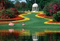 Cypress Gardens, FL Royalty Free Stock Photo