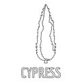 Cypress icon, outline style.