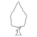 Cypress icon, outline style