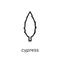 Cypress icon. Trendy modern flat linear vector Cypress icon on w