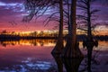 Cypress Lake, scenic sunset, Southern Illinois Royalty Free Stock Photo