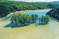 Cypress Lake Sukko aerial view with green trees standing in lake water in Anapa mountains, Russia