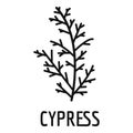 Cypress leaf icon, simple black style