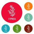 Cypress leaf icons circle set vector