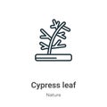 Cypress leaf outline vector icon. Thin line black cypress leaf icon, flat vector simple element illustration from editable nature Royalty Free Stock Photo