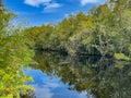 Cypress swamp in Big Cypress National Preserve and the Everglades National Park Royalty Free Stock Photo