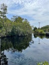 Cypress swamp in Big Cypress National Preserve and the Everglades National Park Royalty Free Stock Photo