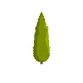 Cypress tree icon, flat style