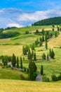 Cypress tree scenic winding road in Monticchiello - Valdorcia - near Siena, Tuscany, Italy, Europe Royalty Free Stock Photo