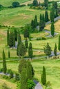 Cypress tree scenic winding road in Monticchiello - Valdorcia - near Siena, Tuscany, Italy, Europe Royalty Free Stock Photo