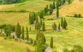 Cypress tree scenic winding road in Monticchiello - Valdorcia - near Siena, Tuscany, Italy, Europe Royalty Free Stock Photo