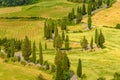 Cypress tree scenic winding road in Monticchiello - Valdorcia - near Siena, Tuscany, Italy, Europe Royalty Free Stock Photo