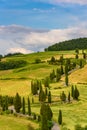 Cypress tree scenic winding road in Monticchiello - Valdorcia - near Siena, Tuscany, Italy, Europe Royalty Free Stock Photo