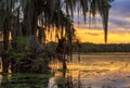 Another bayou sunset