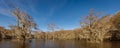 Cypress trees at Caddo Lake State Park, Eastern Texas near Louisiana. Nobody, spanish Royalty Free Stock Photo