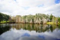 Cypress Trees grow in water Royalty Free Stock Photo