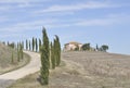 Cypress trees and hilltop Italian Villa