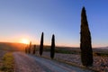 Cypress trees road in Tuscany, Italy at sunrise. Val d'Orcia Royalty Free Stock Photo