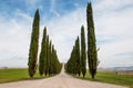 Cypress trees row and road in tuscan landscape, Tuscany, Italy Royalty Free Stock Photo