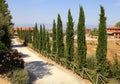 Cypress trees rows and a country road, Tuscany, Italy. Royalty Free Stock Photo