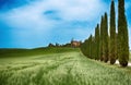 Cypress Trees rows and a white road, rural landscape in val d Orcia land near Siena, Tuscany, Italy. Royalty Free Stock Photo