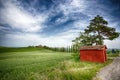 Cypress Trees rows and a white road with a small red house, rural landscape in val d Orcia land near Siena, Tuscany, Italy. Royalty Free Stock Photo