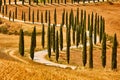 Cypress trees valley Orcia Tuscany landscape Italy landmark