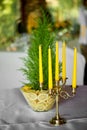 Cypress in a vase decorated with lemons. Fresh and juicy combination.Table decoration at the wedding Banquet.