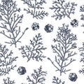 Cypress vector background. Christmas seamless pattern. Evergreen tree botanical drawings. Hand drawn conifer plant. Perfect for