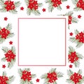 Cypress vine Flower on Christmas White Banner Card. Vector Illustration Royalty Free Stock Photo