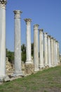 Cyprus, ancient Salamis Royalty Free Stock Photo