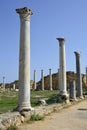Cyprus, ancient Salamis Royalty Free Stock Photo