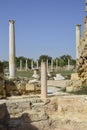 Cyprus, ancient Salamis Royalty Free Stock Photo