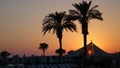 Cyprus awesome sunset with palm tree