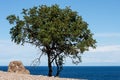 Cyprus beach Cliifs Royalty Free Stock Photo