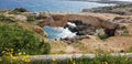 Europe Cyprus beach sunny hiking rock stone